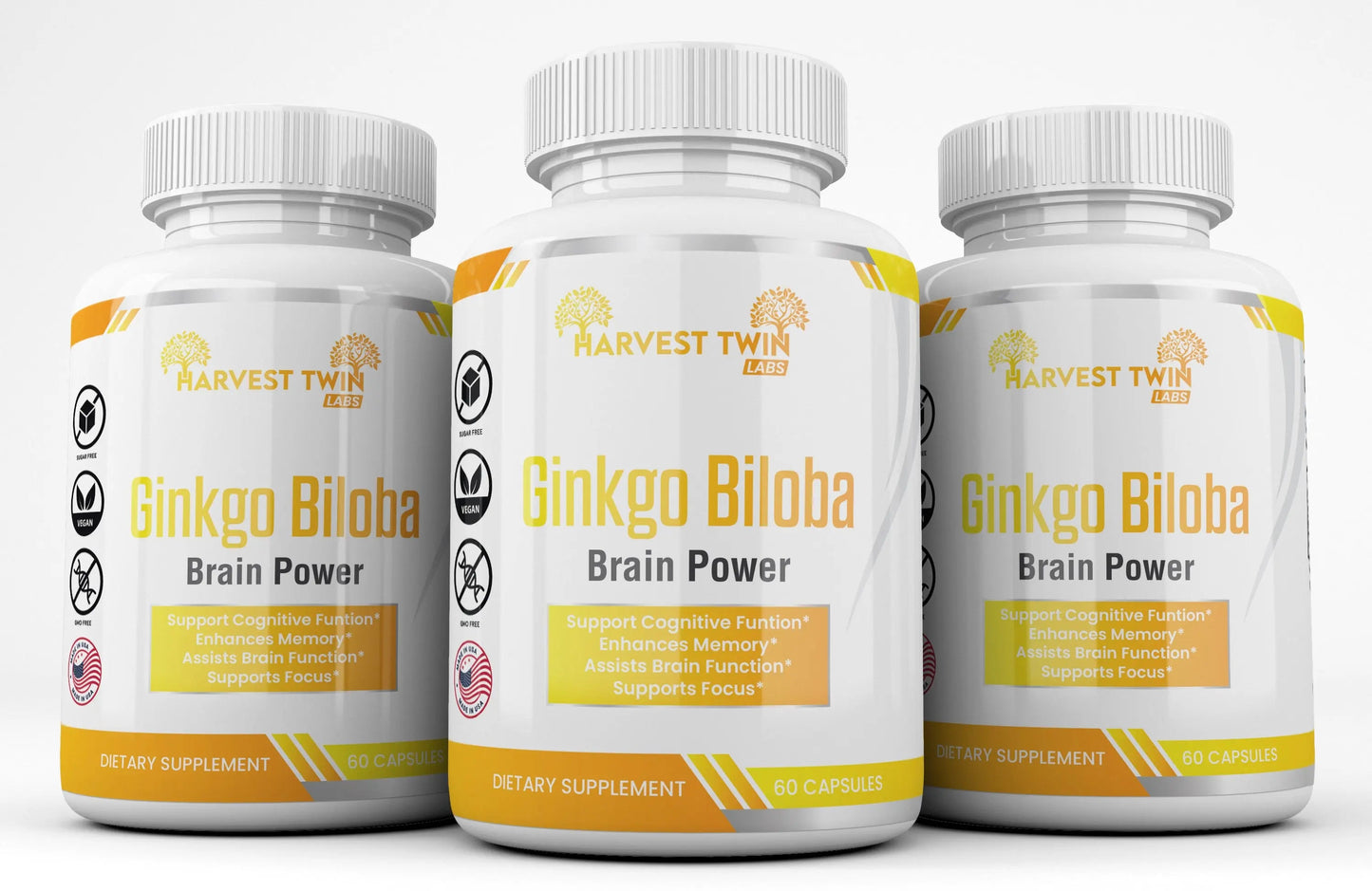 Ginkgo Biloba-3
