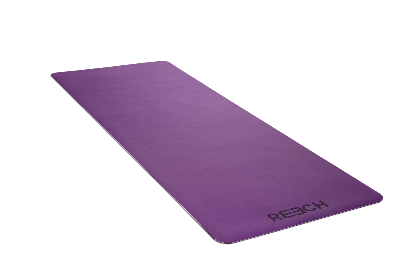 namaSTAY PURPLE-1