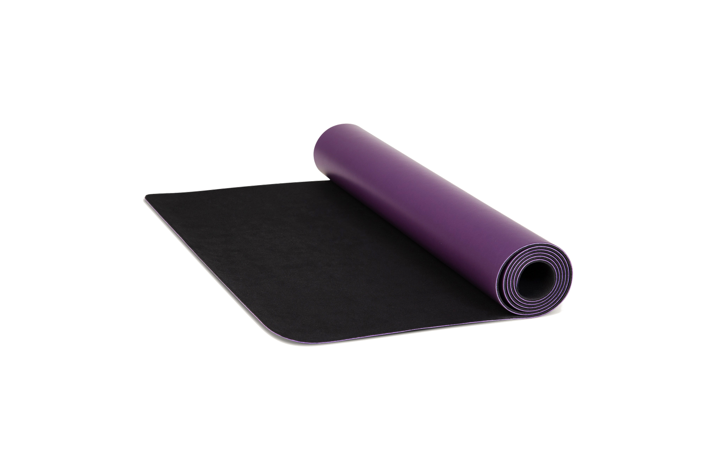 namaSTAY PURPLE-2