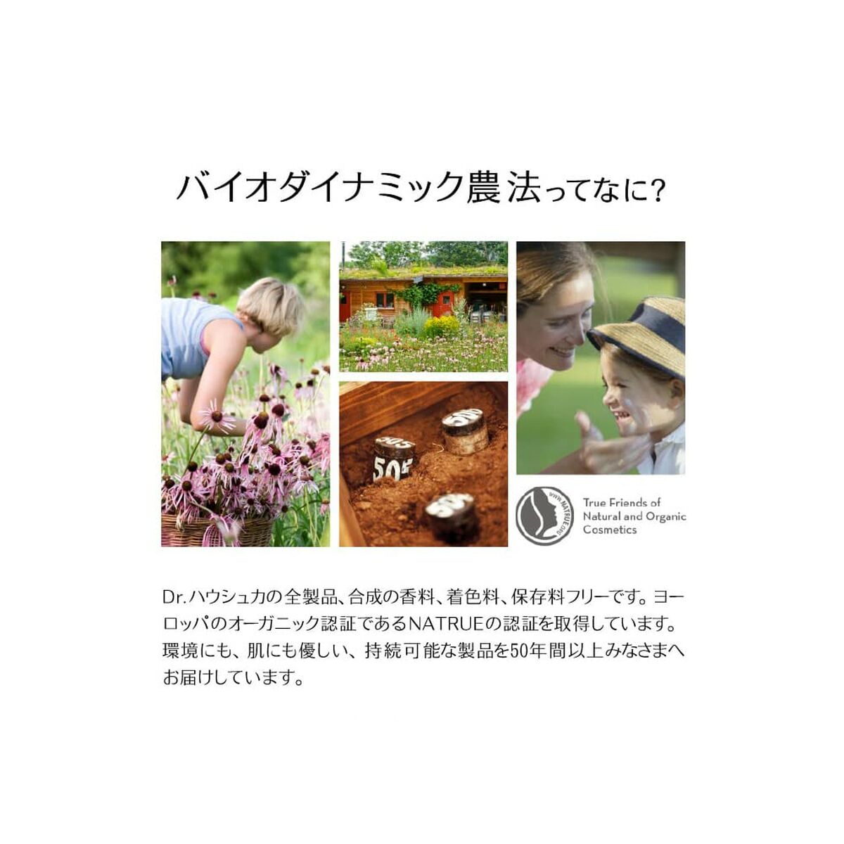 Day Cream Dr. Hauschka 30 ml-7