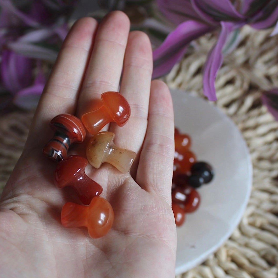 Mini Crystal Mushroom - Humanist Beauty