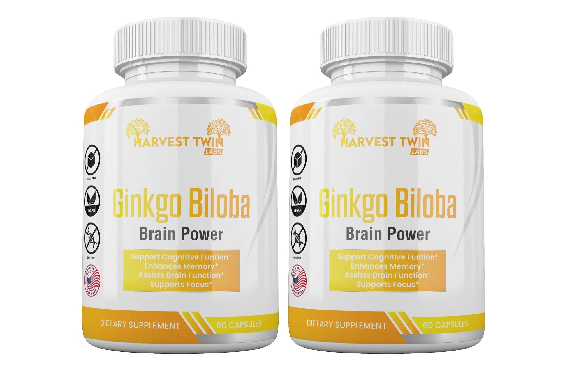 Ginkgo Biloba-2