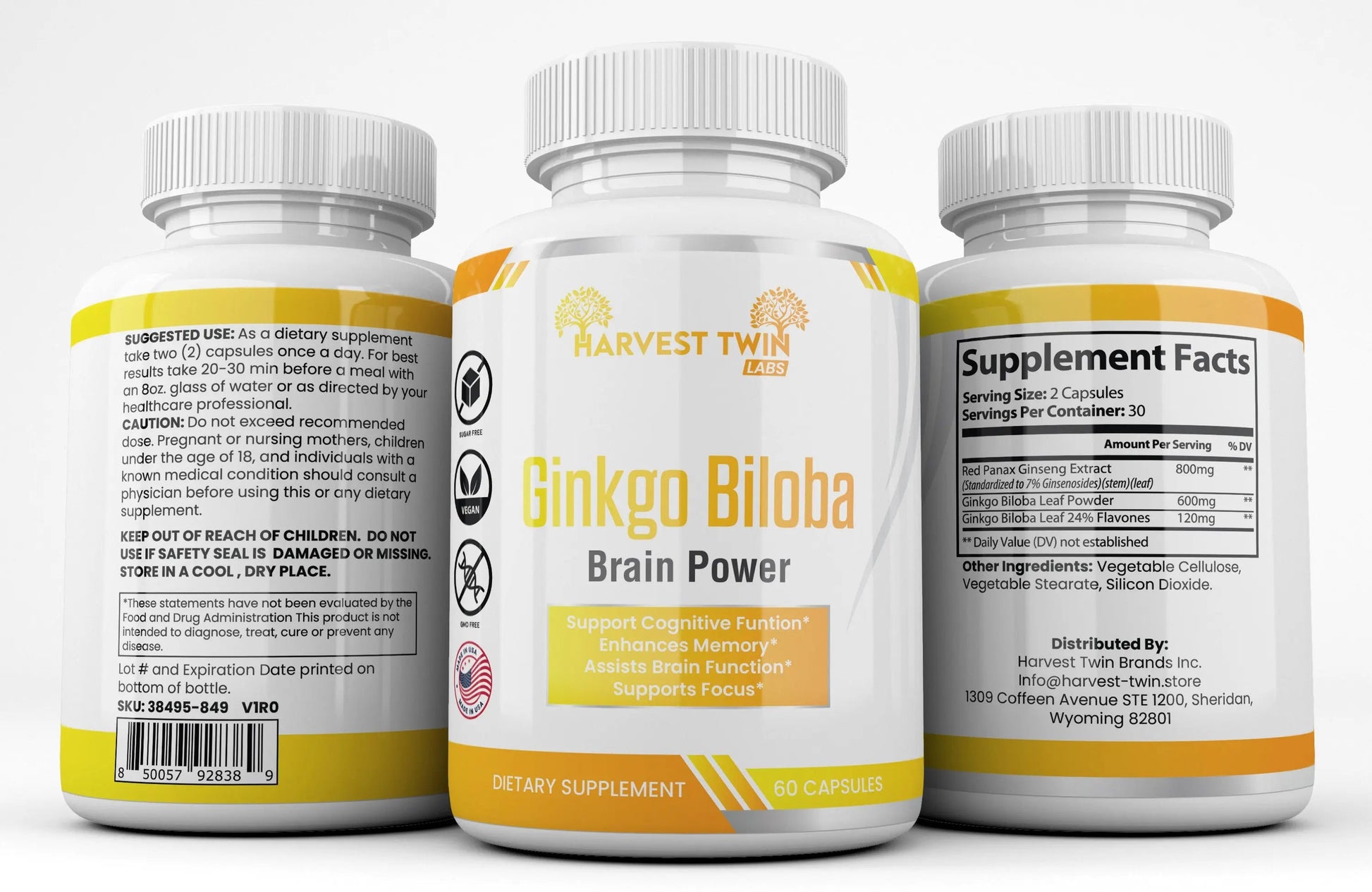 Ginkgo Biloba-1