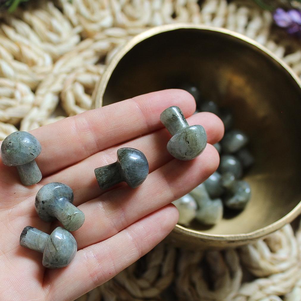 Mini Crystal Mushrooms-14