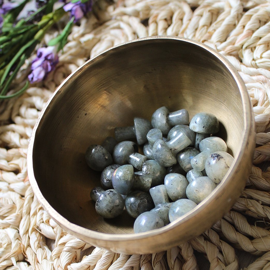 Mini Crystal Mushrooms-16