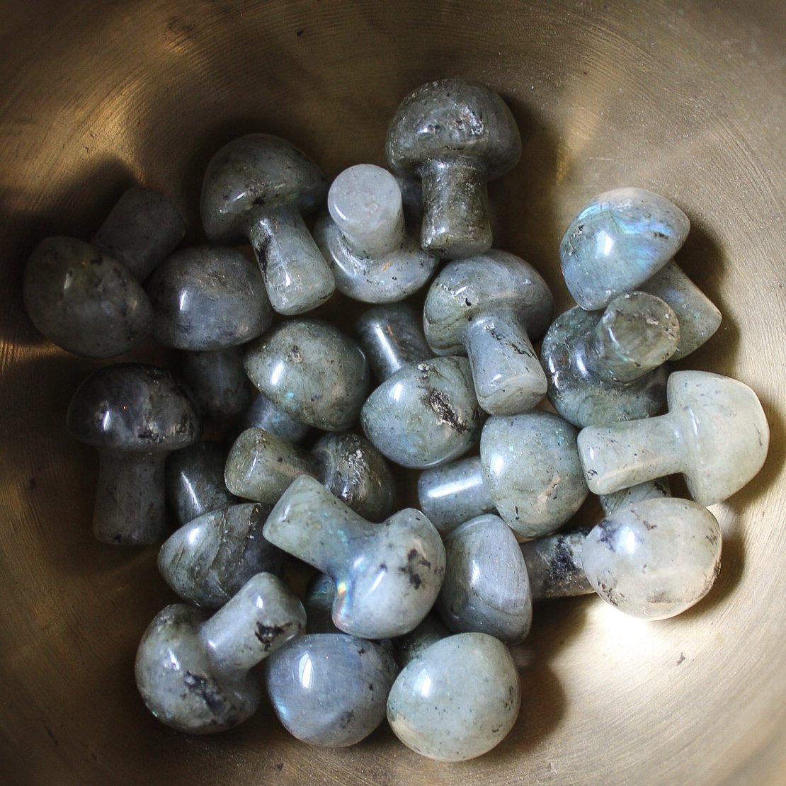 Mini Crystal Mushrooms-15