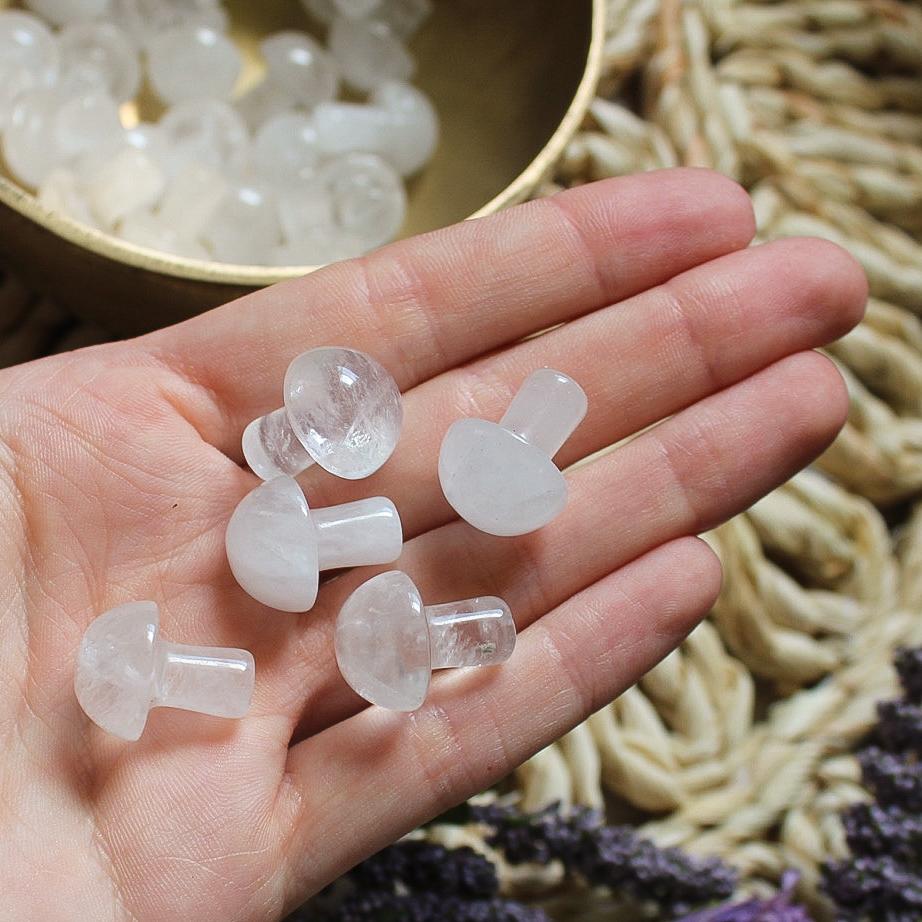 Mini Crystal Mushrooms-18