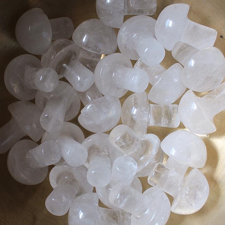 Mini Crystal Mushrooms-19