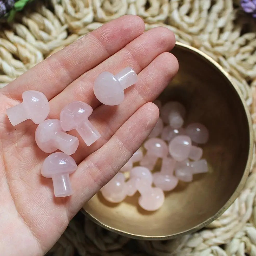 Mini Crystal Mushrooms-22