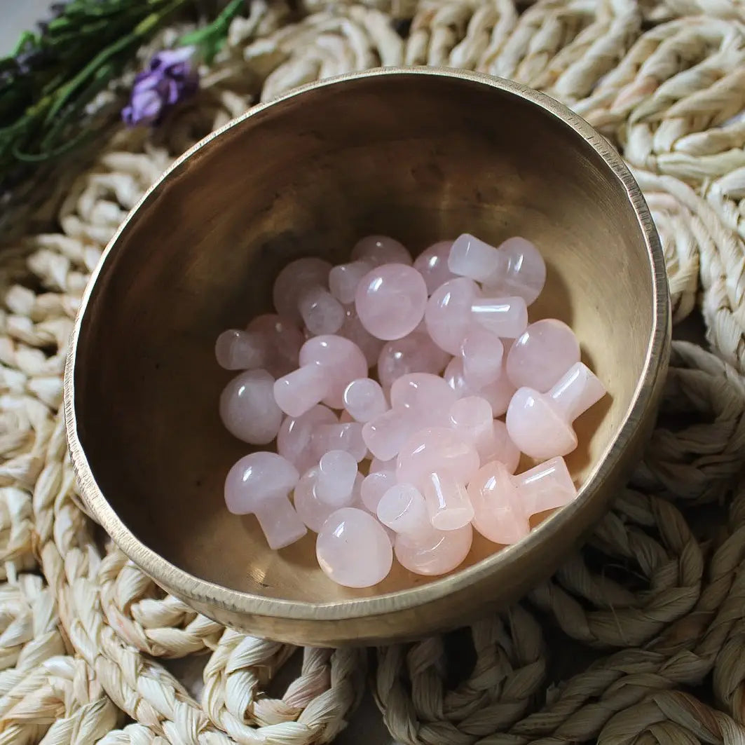 Mini Crystal Mushrooms-24