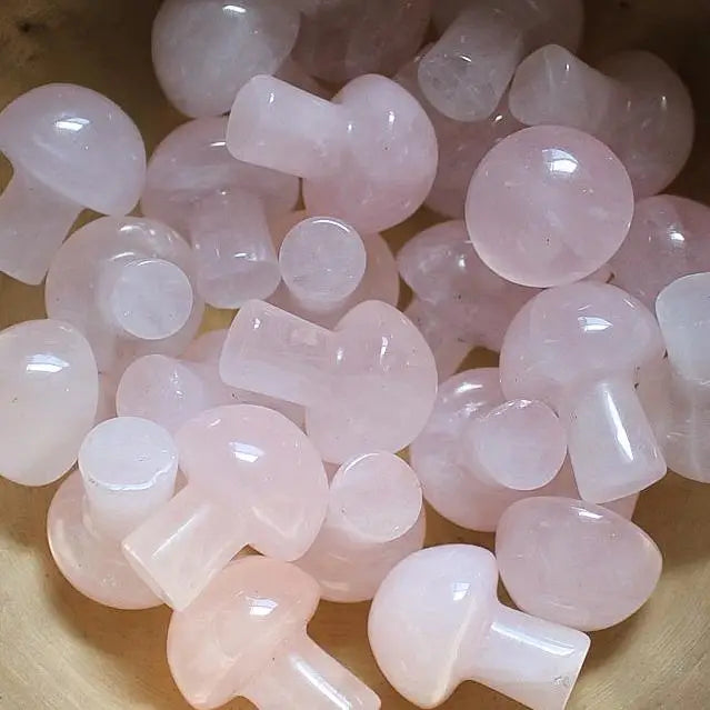 Mini Crystal Mushrooms-23