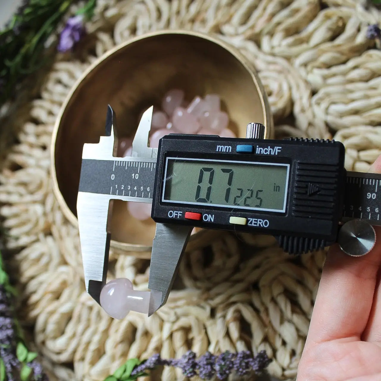 Mini Crystal Mushrooms-25